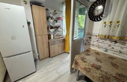 Garsonieră renovată complet, Parter, 23 mp - Zimbru