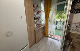 Garsoniera de vanzare, 23 mp, parter, zona Zimbru
