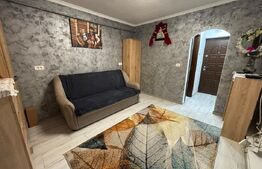 Garsonieră renovată complet, Parter, 23 mp - Zimbru
