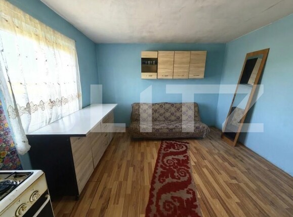 Casa de vânzare 1 camera Prisacani - 202218CV | BLITZ Iași | Poza5
