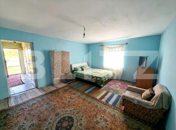 Casa de vânzare 1 camera Prisacani - 202218CV | BLITZ Iași | Poza3