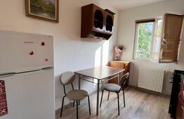 De inchiriat - Apartament 3 camere, 36.43 mp, etaj 1, zona Cantemir
