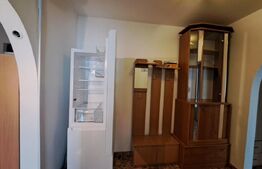 Apartament 2 Camere Mircea cel Batran 