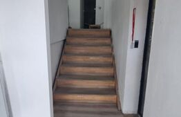 Hala productie + spatiu birouri, 395 mp, zona Dancu 