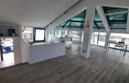 Hala productie + spatiu birouri, 395 mp, zona Dancu 