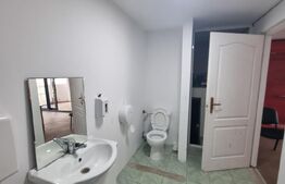 Hala productie + spatiu birouri, 395 mp, zona Dancu 