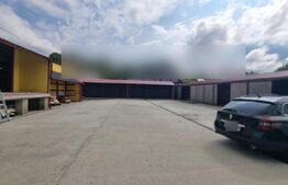 Hala productie + spatiu birouri, 395 mp, zona Dancu 