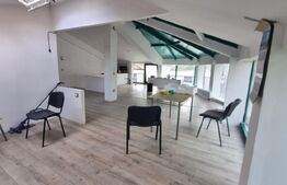 Hala productie + spatiu birouri, 395 mp, zona Dancu 