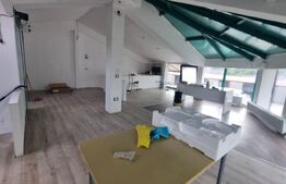 Hala productie + spatiu birouri, 395 mp, zona Dancu 