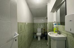Hala productie + spatiu birouri, 395 mp, zona Dancu 
