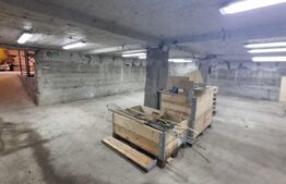 Hala productie + spatiu birouri, 395 mp, zona Dancu 