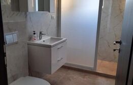 Apartament 2 camere, 46 mp, zona Pacurari