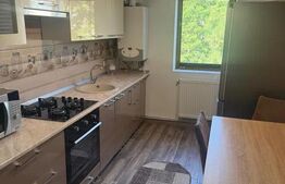Apartament 2 camere, 46 mp, zona Nicolina
