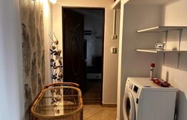Apartament 2 Camere Zimbru