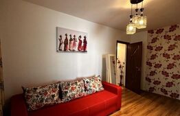 Apartament 2 Camere Zimbru