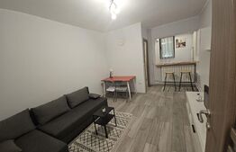 Garsoniera in zona Nicolina - renovata complet