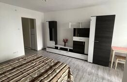 Apartament 1 camera, 31 mp, zona Tatarasi
