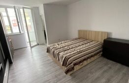 Apartament 1 camera, 31 mp, zona Tatarasi