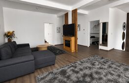 Casa de vanzare, 175 mp, teren 295 mp, zona Pacurari