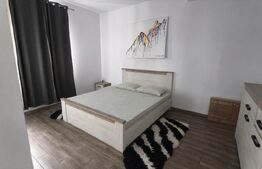 Casa de vanzare, 175 mp, teren 295 mp, zona Pacurari