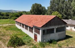 Spatiu industrial -HALE 3200 mp, 32.0000 MP teren INTRAVILAN, drumul principal