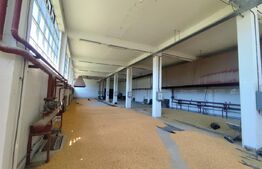 Spatiu industrial -HALE 3200 mp, 32.0000 MP teren INTRAVILAN, drumul principal
