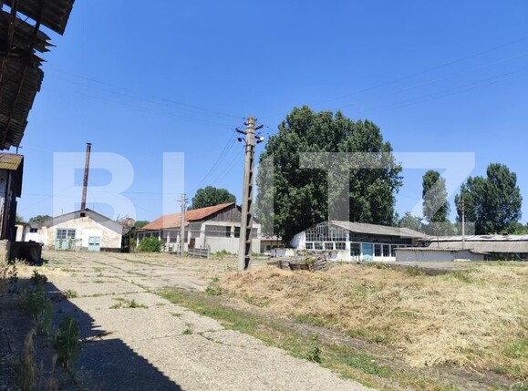 Teren de vânzare Răducăneni - 203297TV | BLITZ Iași | Poza8