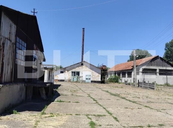 Teren de vânzare Răducăneni - 203297TV | BLITZ Iași | Poza4
