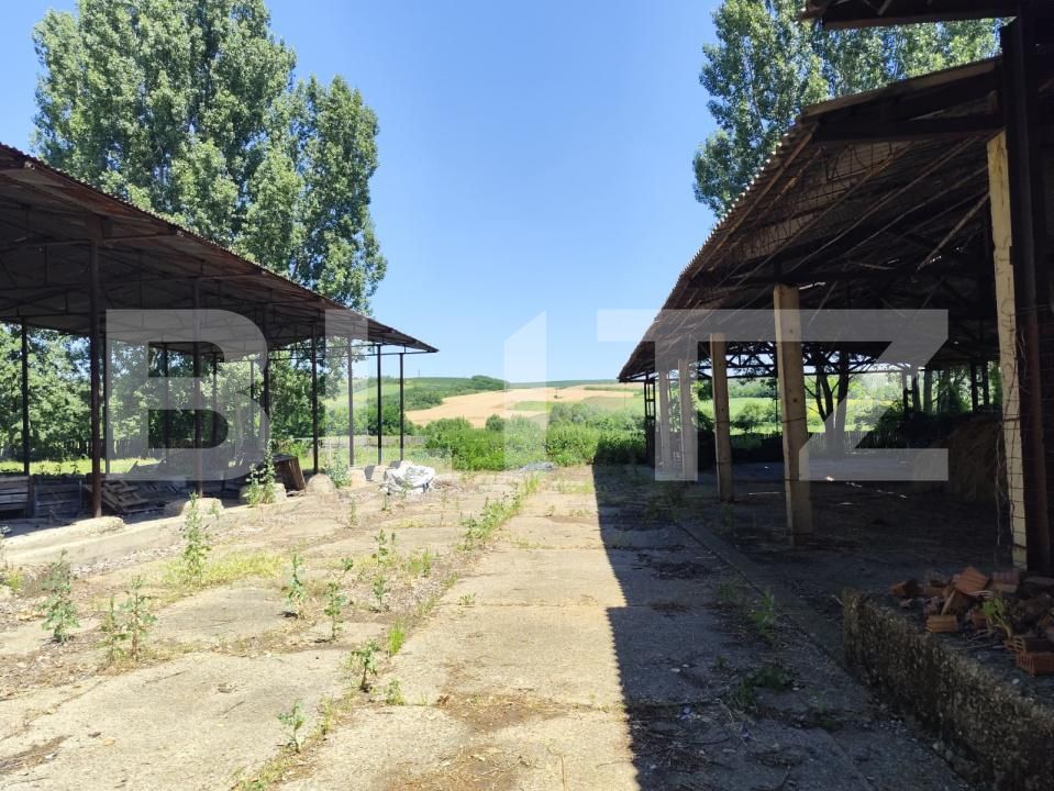 Teren de vânzare Răducăneni - 203297TV | BLITZ Iași | Poza9