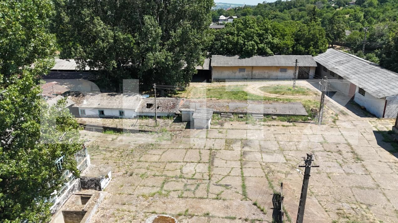 Teren de vânzare Răducăneni - 203297TV | BLITZ Iași | Poza17