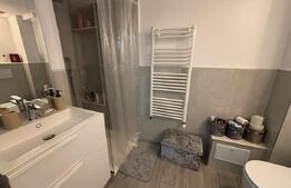 Apartament 1 cameră, 29 mp, zona Ultracentral - Anastasie Panu