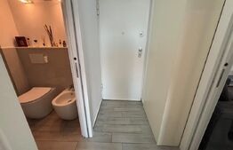 Apartament 1 cameră, 29 mp, zona Ultracentral - Anastasie Panu