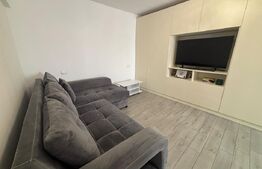 Apartament 1 cameră, 29 mp, zona Ultracentral - Anastasie Panu