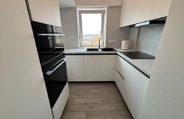 Apartament 1 cameră, 29 mp, zona Ultracentral - Anastasie Panu