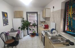 Apartament 2 camere, decomandat, 49mp, zona Pacurari