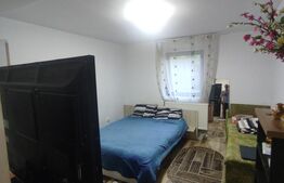 Apartament 2 camere, decomandat, 49mp, zona Pacurari