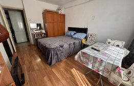Apartament 1 cameră, 25 mp, Metalurgiei
