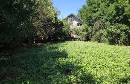 Casă P+1+M, 200 mp, zona CUG