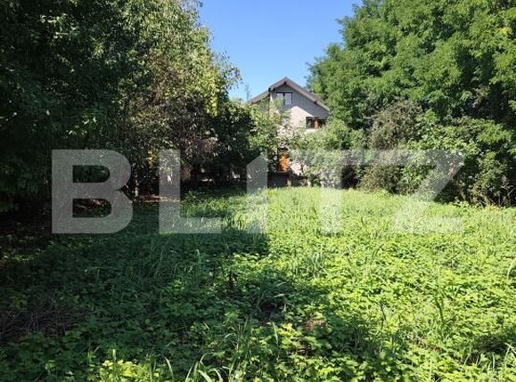 Casa de vânzare 5 camere Cug - 204349CV | BLITZ Iași | Poza2