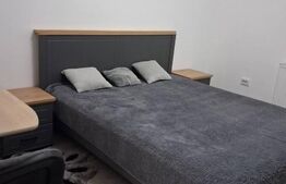 Apartament 1 camera, 36 mp, zona Palas Mall