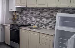 Apartament 1 camera, 36 mp, zona Palas Mall