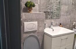 Apartament 1 camera, 36 mp, zona Palas Mall