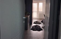 Apartament 1 camera, 36 mp, zona Palas Mall