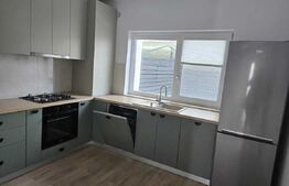 Casa/Vila de inchiriat, 100 mp, zona Valea Lupului