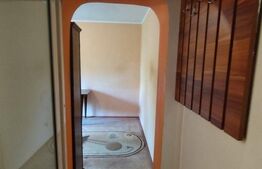 Apartament 1 camera, 20 mp, zona Cantemir