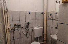 Apartament 1 camera, 20 mp, zona Cantemir