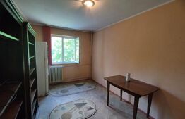 Apartament 1 camera, 20 mp, zona Cantemir
