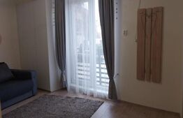 Apartament 1 camera, 40 mp, zona Tudor Vladimirescu 