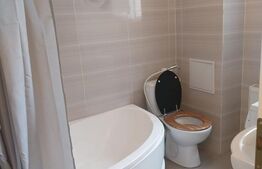 Apartament 1 camera, 40 mp, zona Tudor Vladimirescu 