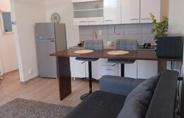 Apartament 1 camera, 40 mp, zona Tudor Vladimirescu 